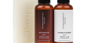 aromatherapy triptych web