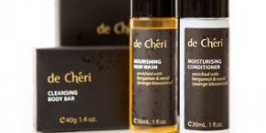 de cheri bath products v2